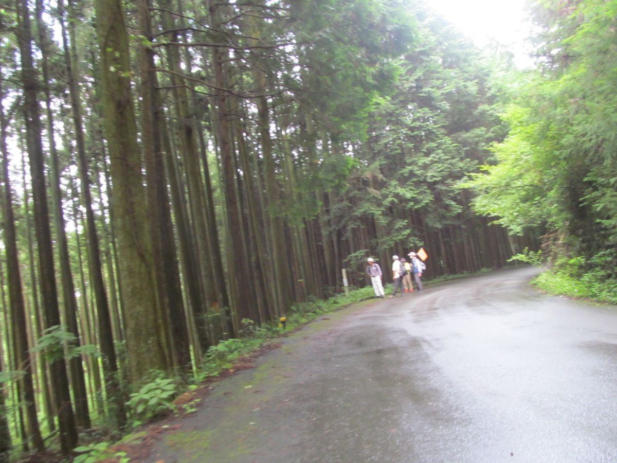 20220710_095625.JPG